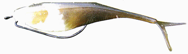 Lunker City Fin-S Shad