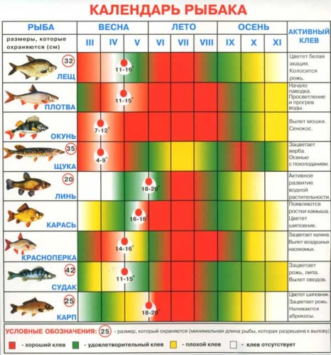 Карманный календарик рыболова