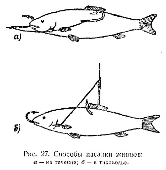 Ловля на кружки, схема 