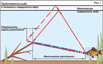 О рыбе, атмосферном давлении и луне