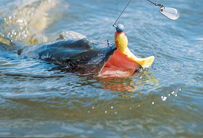 Самодельный спиннербейт (spinnerbait своими руками)