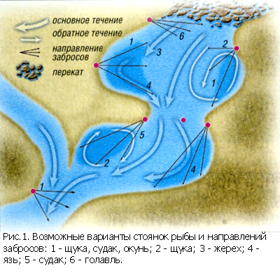 Выбор места ловли