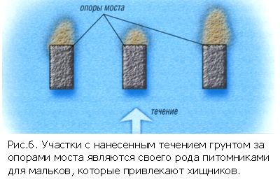 Выбор места ловли - опоры моста