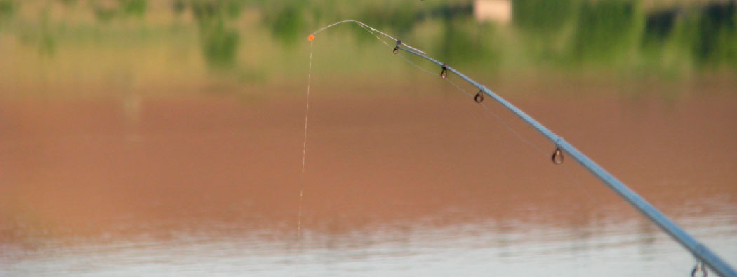 Ловля рыбы на боковой кивок с берега. История одной рыбалки